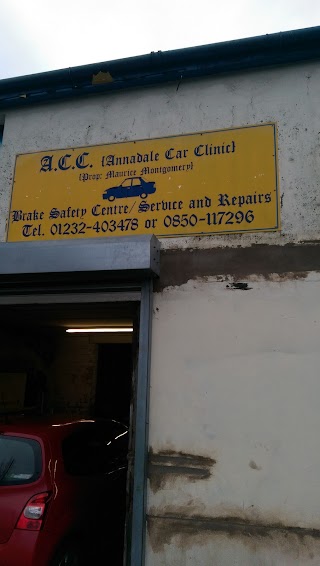 Annadale Car Clinic