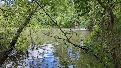 The Hurst Water Meadow Trust