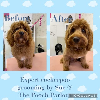 The Pooch Parlour