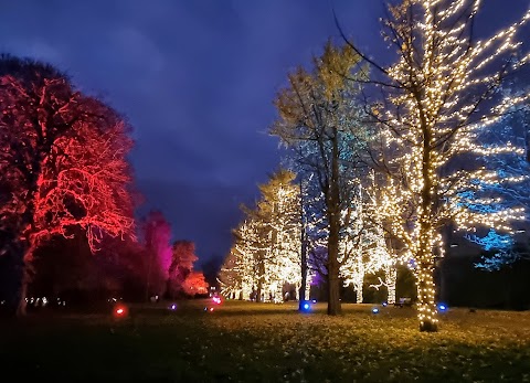 Bute Park