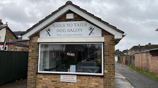 Nails to Tails Dog Grooming Salon