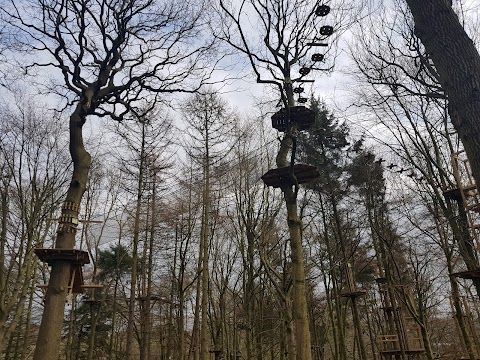 Go Ape Temple Newsam