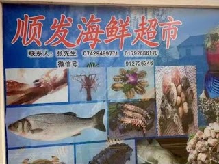 ShunFa Seafood
