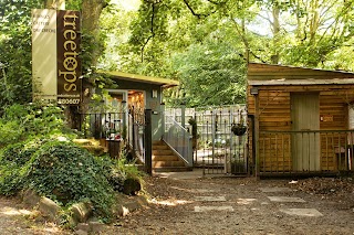 Treetops Kennels and Cattery