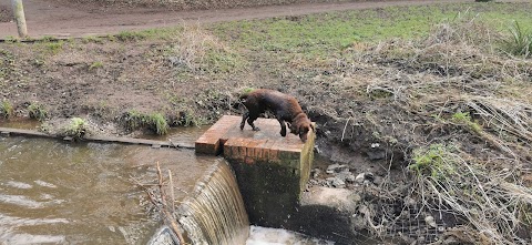 Caldy Nature Park