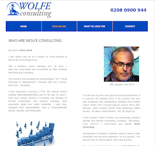 Wolfe Consulting