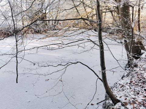 Linwood Riverside Walk