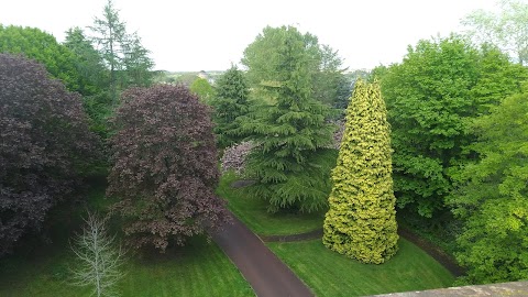 Cadzow Glen Gates