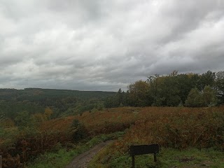 Cannock chase park water work