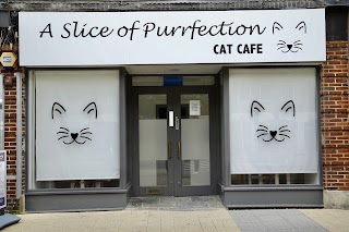 A Slice of Purrfection Ltd