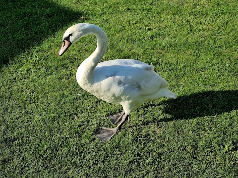 Just Wake - Tattershall Lake Water Park