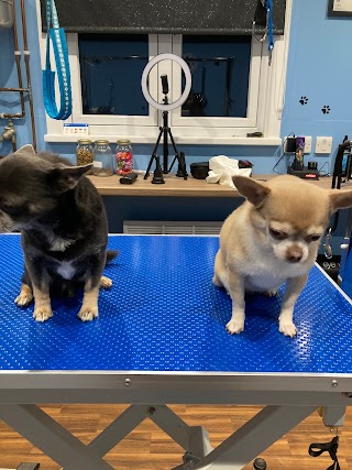 Esquires dog groom salon