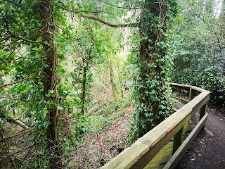 Linn Park Waterfall