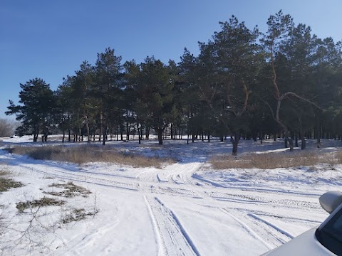 Прокат Квадроциклов Днепр