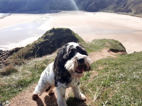 Hackley Bay