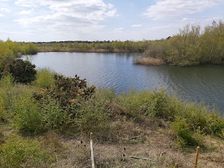 Idle Valley Nature Reserve (Notts Wildlife Trust)