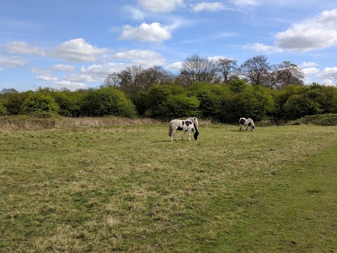 Park Lime Pits Local Nature Reserve