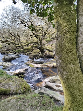 National Trust - Cadover Bridge