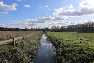 Lucy's Meadow