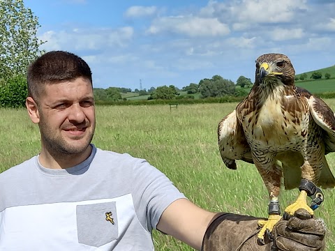 Bird on the Hand Falconry Experiences