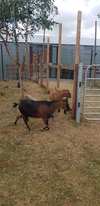 St James Community Farm