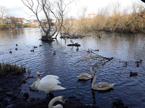 Lochend Park