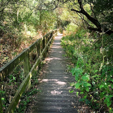 Emberton Country Park