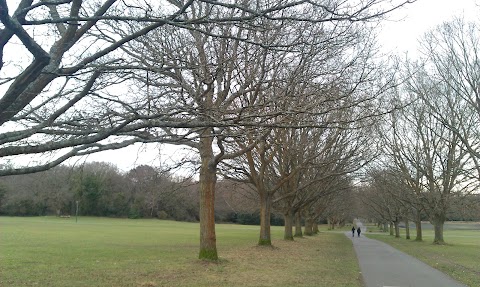 Southampton Common