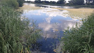 Wetland cafe Manor House