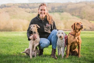 We Love Pets Wakefield - Dog Walker, Pet Sitter & Home Boarder