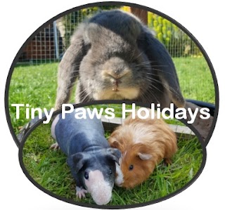 Tiny Paws Holidays