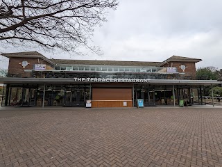 The Terrace Restaurant