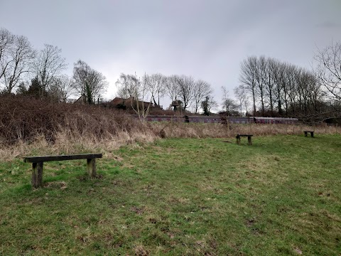 Silver Street Local Nature Reserve