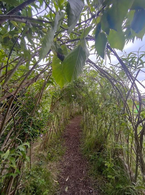 Caldmore Community Garden