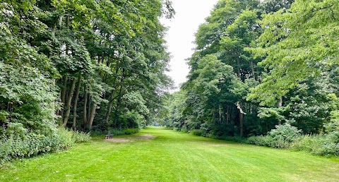 Rufford Abbey Country Park