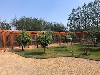 Wood Farm Cottage Cattery