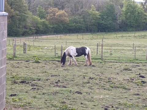 Vogrie Riding School