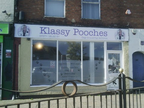 Klassy pooches dog grooming salon