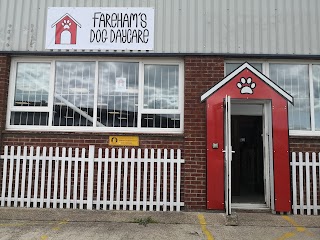 Fareham's Dog Daycare