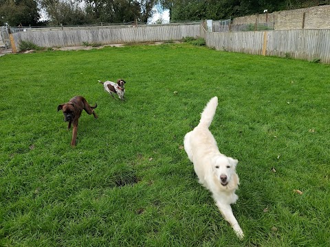 Woodborough Gardens Kennels & Catteries