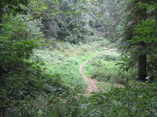 Efford Valley Nature Park