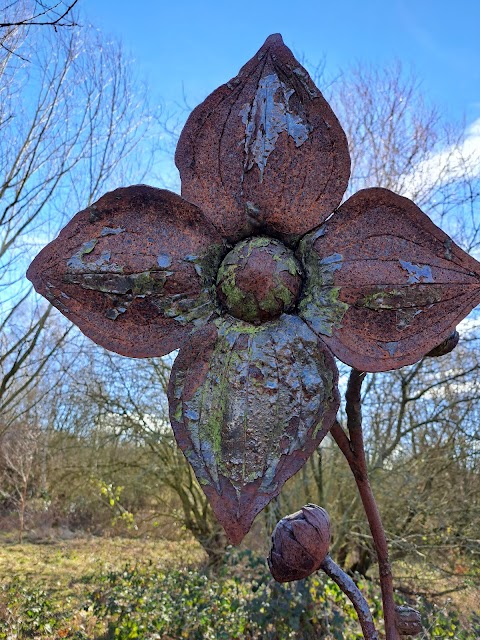 Alyn Waters Country Park