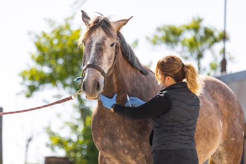 Clare Vet Clinic