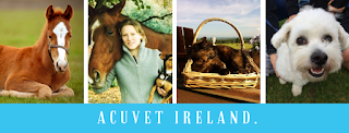Acuvet Ireland
