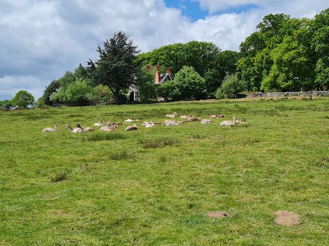 Deer Barn Tearoom