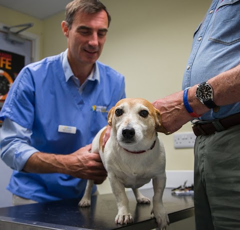 Coastway Vets, Shoreham