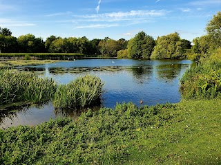 Backwell Lake