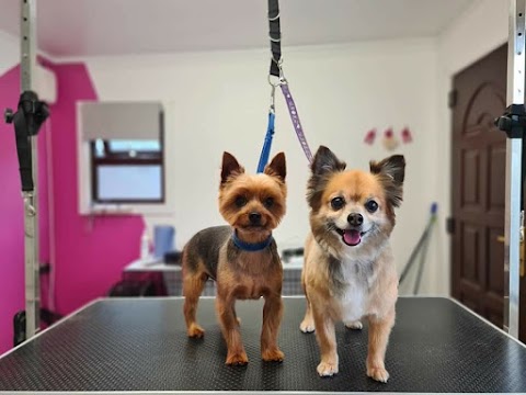 Teddy's Cuts Dog Grooming Cabin