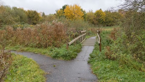 Toll's Meadow