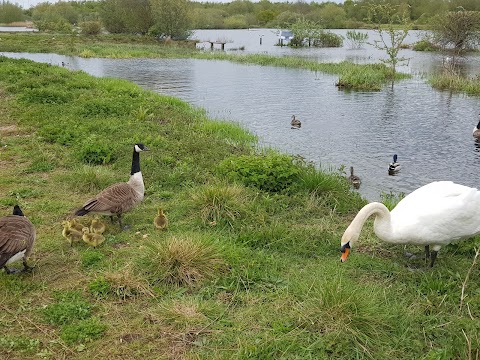 Tameside Local Nature Reserve